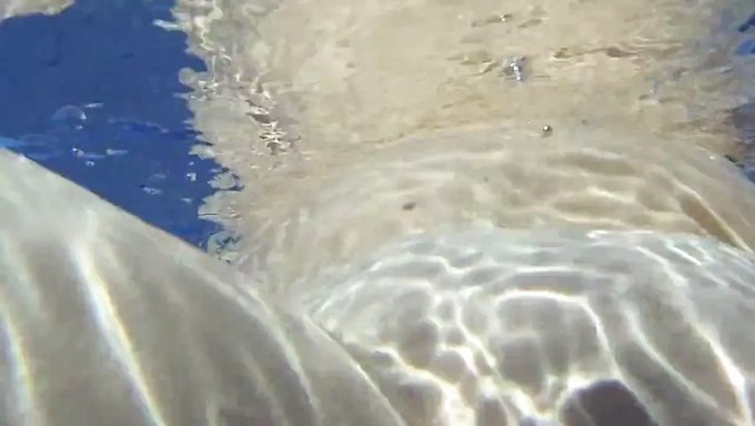 Leisurely Swim With A Twist