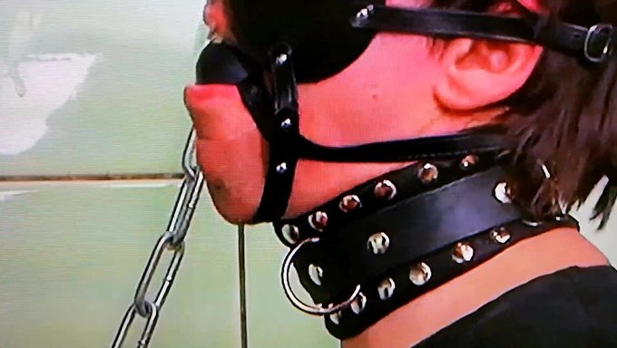 Small Penis And Testicles Bound For Kinky Pleasure