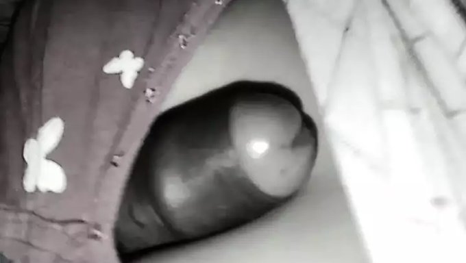 Hot Wife Gets Fucked Hard In Doggy Style
