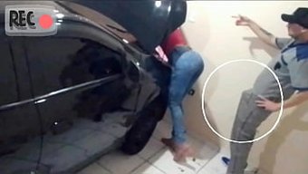 Brazilian ...