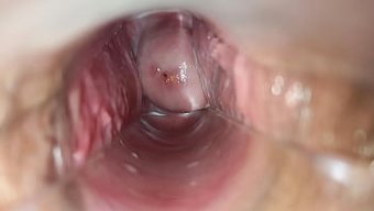 Cum Inside...