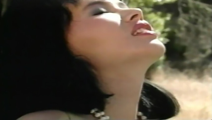 Retro Eating Pussy Scene From A Vintage Porn Video